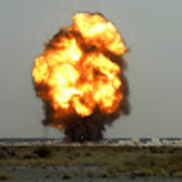 Meet your Posher, Logan - Picture 1 of 1